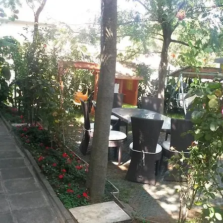 Atm Gracia Tsarévo